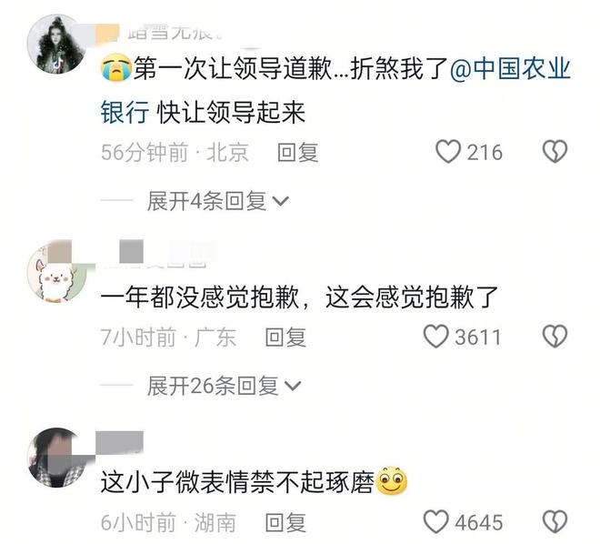 ！暂停工作全职处理漏水等更多细节！凯发K8登录入口农行“高管”道歉了(图7)