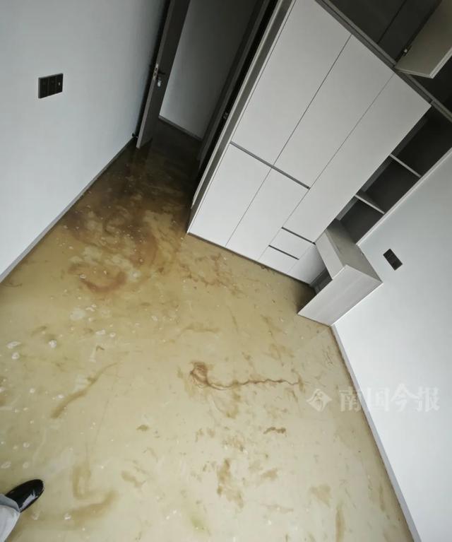 业主崩溃：全屋都是无法接受K8凯发婚房被粪水浸泡！(图2)