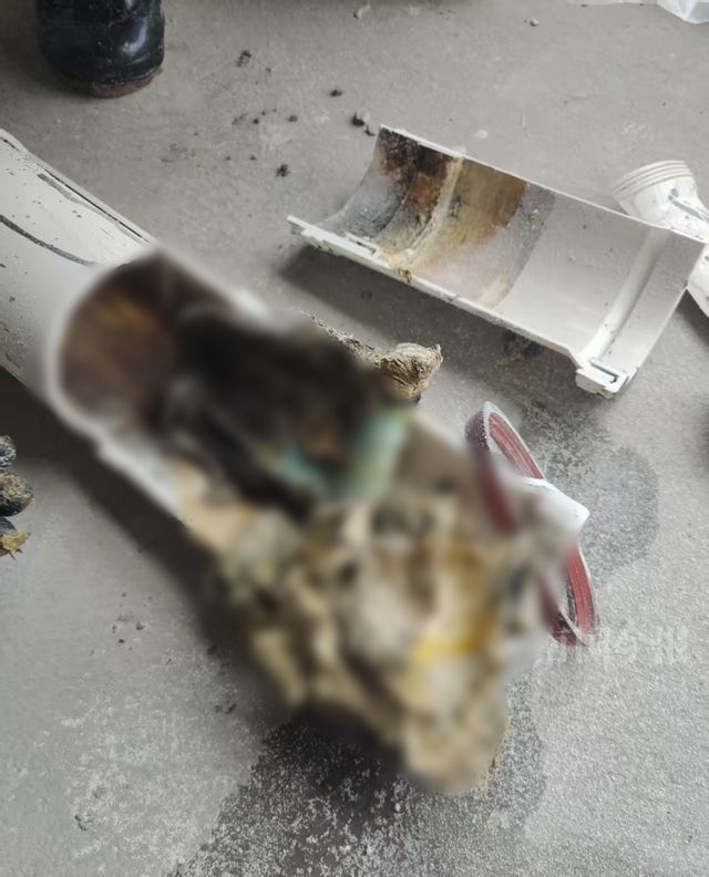 业主崩溃：全屋都是无法接受K8凯发婚房被粪水浸泡！(图9)