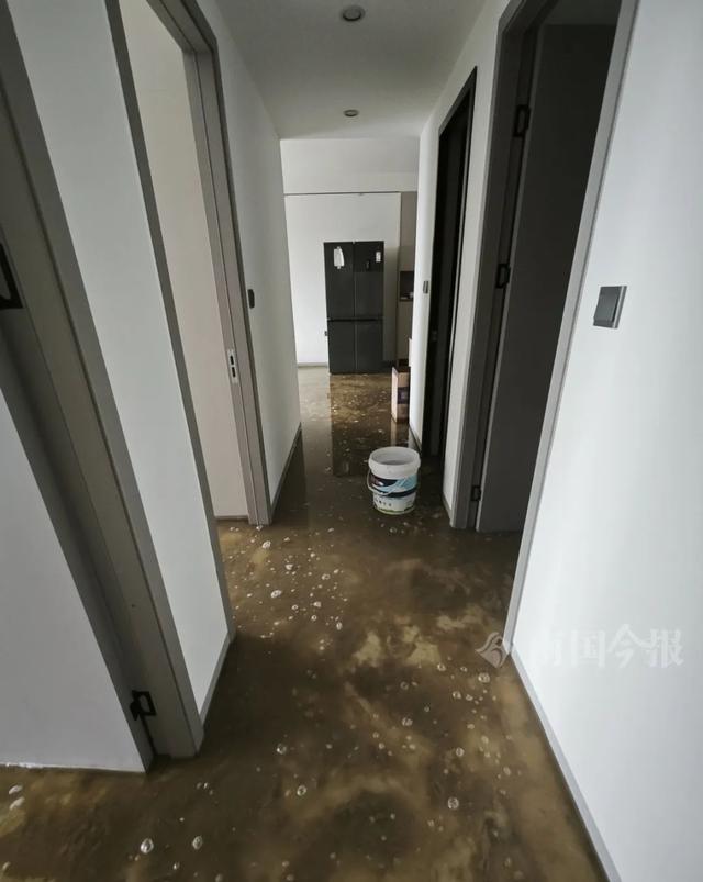 业主崩溃：全屋都是无法接受K8凯发婚房被粪水浸泡！(图3)