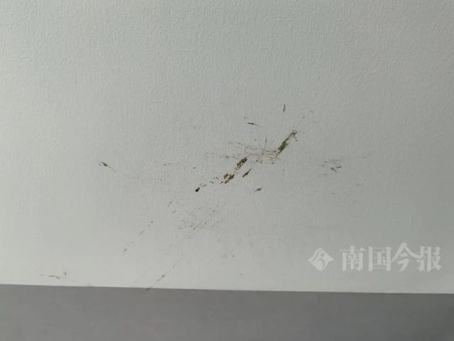 业主崩溃：全屋都是无法接受K8凯发婚房被粪水浸泡！(图5)