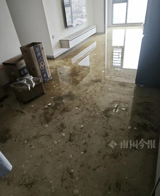 业主崩溃：全屋都是无法接受K8凯发婚房被粪水浸泡！(图4)