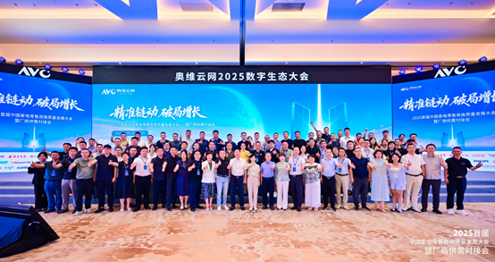 数字生态大会引领家电产业革新突围凯发K8旗舰厅奥维云网2025(图4)